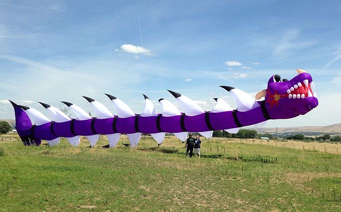 Purple Dragon