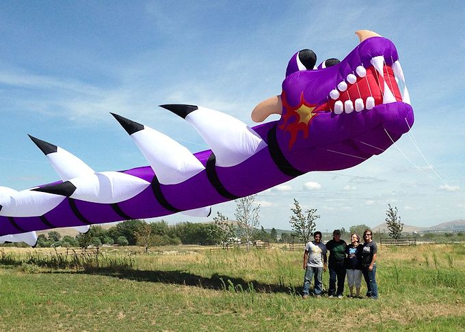 Purple Dragon Head
